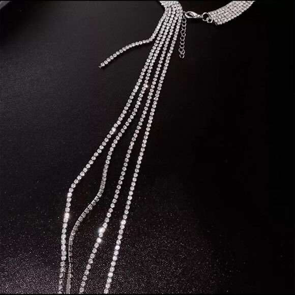 Long Diamond Tassel Necklace - Picture 4 of 5